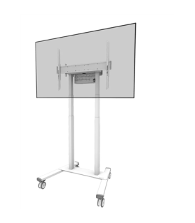 Neomounts FL55-875WH1 55-100"