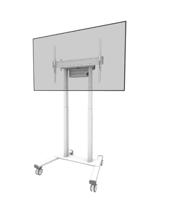 Neomounts FL55-875WH1 55-100"