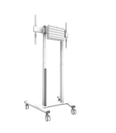 Neomounts FL55-875WH1 55-100"