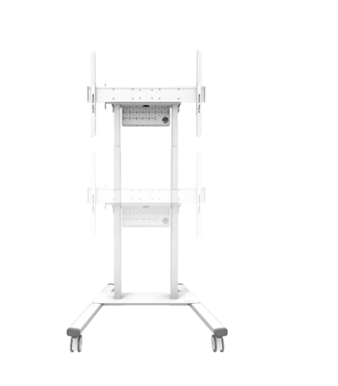 Neomounts FL55-875WH1 55-100"