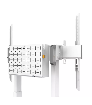 Neomounts FL55-875WH1 55-100"