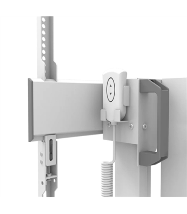 Neomounts FL55-875WH1 55-100"