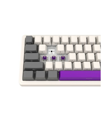 Lorgar KBP70 Mini mehhaaniline juhtmevaba mänguriklaviatuur, beež,US