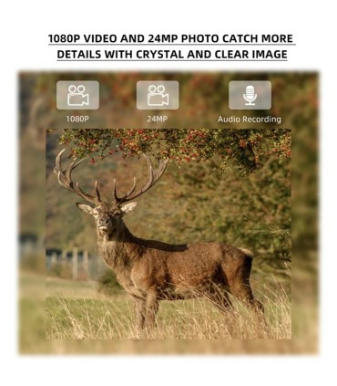 Stealth Gear rajakaamera Hedgehog 4G