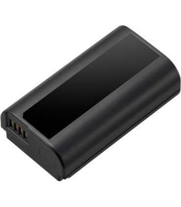 Panasonic aku DMW-BLJ31E
