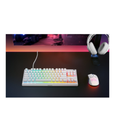 SteelSeries Apex 3 TKL Gaming Wired US