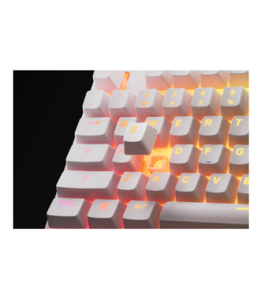 SteelSeries Apex 3 TKL Gaming Wired US