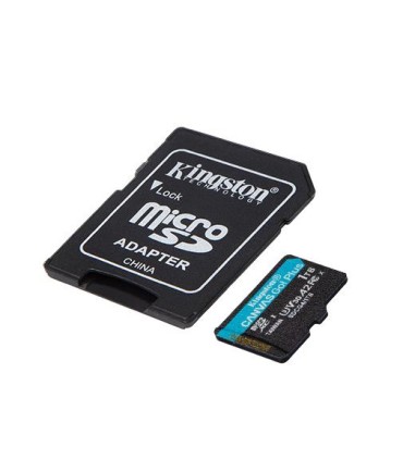 Kingston Micro SDXC 1TB UHS-I/W/A SDCG4