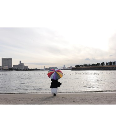 Panasonic Lumix DC-S1 II E kere