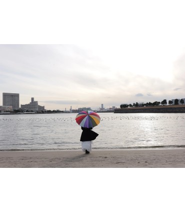 Panasonic Lumix S 24-60mm f/2.8 objektiiv