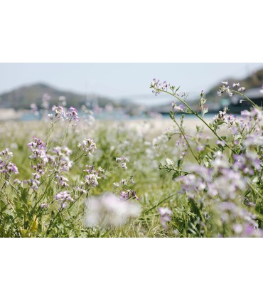 Panasonic Lumix S 24-60mm f/2.8 objektiiv