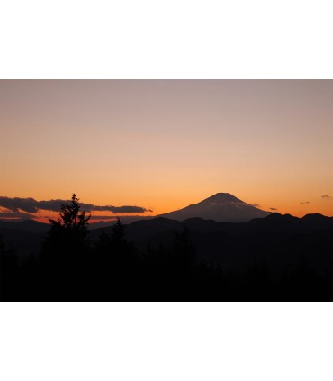 Panasonic Lumix S 24-60mm f/2.8 objektiiv