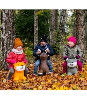 Gerardou0027s Toys Jumpy hüppeloom Hunt