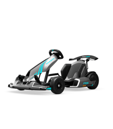 Segway GoKart Pro 2