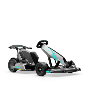 Segway GoKart Pro 2