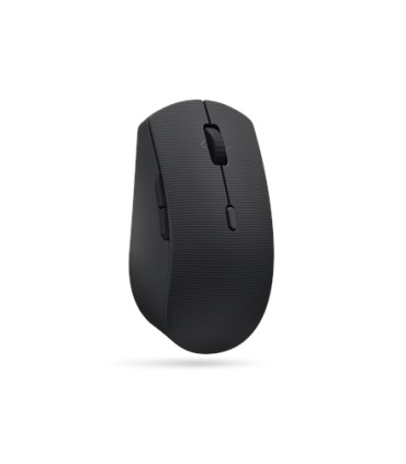 Lenovo Professional Wireless English