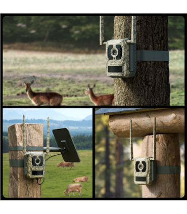 Reolink jahikaamera Camovue Talon S130