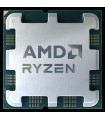 AMD Ryzen 9 9900X3D