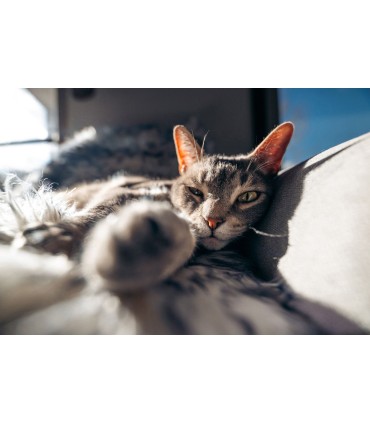 Tamron 16-30mm f/2.8 Di III VXD G2 objektiiv Sonyle