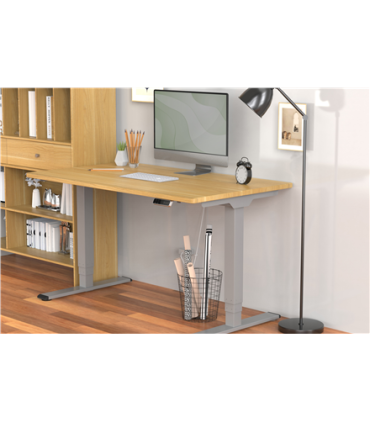 Digitus Floor stand DA-90435 Electrical Table Frame