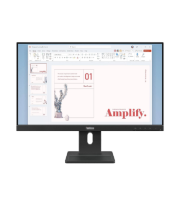 Lenovo ThinkVision E24-40 23,8"