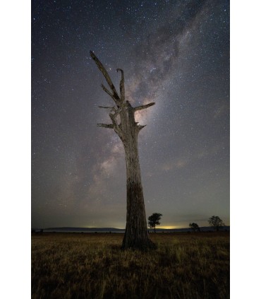 Samyang AF 16mm f/2.8 P FE objektiiv Sonyle