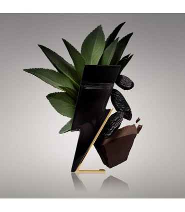 Carolina Herrera Bad Boy EDT (50mL)