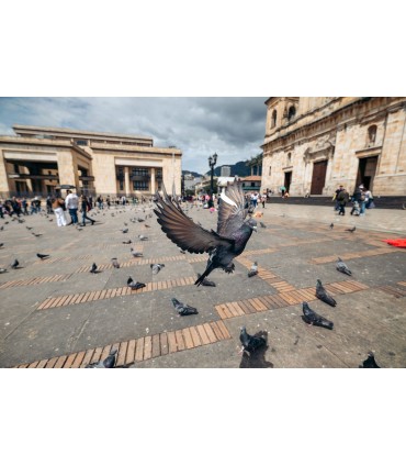 Tamron 16-30mm f/2.8 Di III VXD G2 objektiiv Nikonile