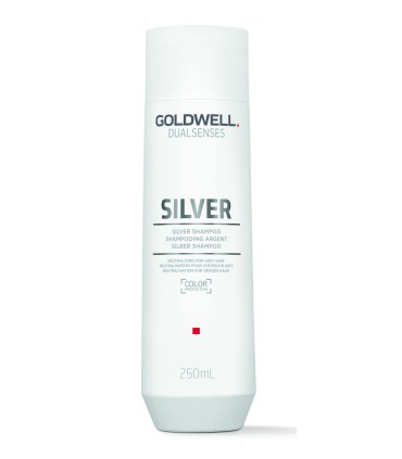 Goldwell DS Silver Shampoo (250mL)