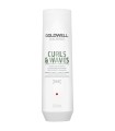 Goldwell DS Curls & Waves Hydrating Shampoo (250mL)