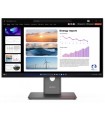 Lenovo ThinkVision P24q-40 23,8"
