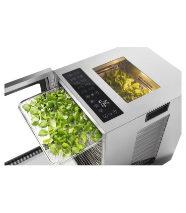 Catler FD4012 toidukuivati, läbipaistvad seinad