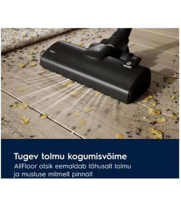 Electrolux EB51A3WB Animal 500, pruun