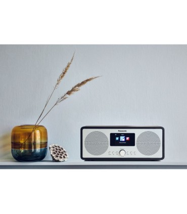 Panasonic RF-D40EG-K digitaalne Interneti/FM/DAB+ raadio