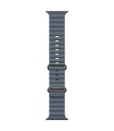 Apple 49mm Anchor Blue Ocean Band - Natural Titanium Finish