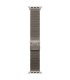 Apple 49mm Natural Titanium Milanese Loop - Large