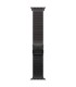 Apple 49mm Black Titanium Milanese Loop - Medium