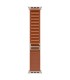 Apple 49mm Terra Cotta Alpine Loop - Medium - Natural Titanium Finish