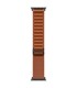 Apple 49mm Terra Cotta Alpine Loop - Medium - Black Titanium Finish