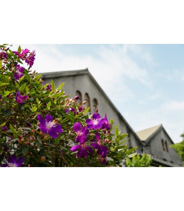 Tamron 18-300mm f/3.5-6.3 Di III-A VC VXD objektiiv Canon RF