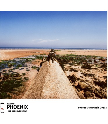 Harman film Phoenix 200-120