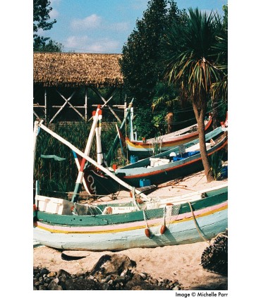 Harman film Phoenix 200/36