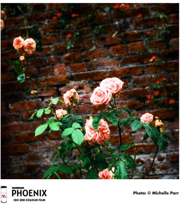 Harman film Phoenix 200-120