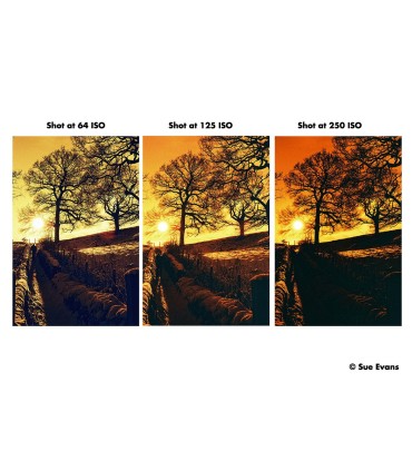 Harman film RED 125/36