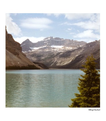 Harman film Phoenix II 200-120