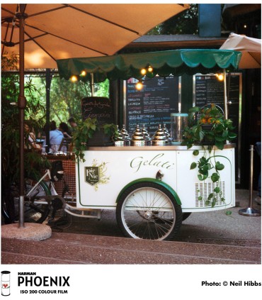 Harman film Phoenix 200-120