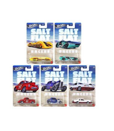 Hot Wheels® Salt Flat teemaautod