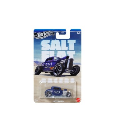 Hot Wheels® Salt Flat teemaautod