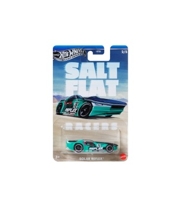 Hot Wheels® Salt Flat teemaautod