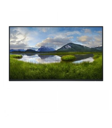 Dell Pro 24" Plus P2425HE